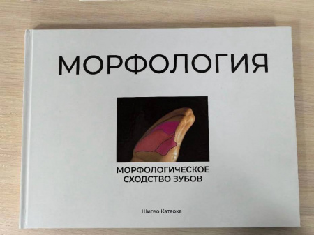 Книга Морфологическое сходство зубов